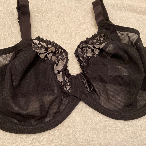 Elegant Black Lace Bra - Picture 1 of 9